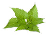 Load image into Gallery viewer, Dried Stinging Nettle Leaves &amp; Stem 20g Heal Arthritis, Allergies &amp; Inflammation